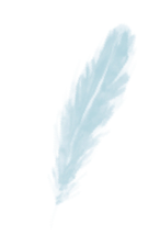 feather 1