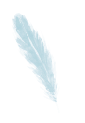 feather 4